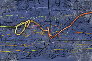 Black Lines Dancing, Copyright Vivek Patel 2004